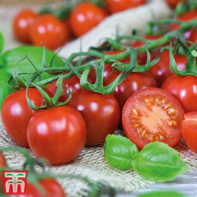 B&Q -  Tomato Rubylicious 1 Seed Packet  (20 Seeds)