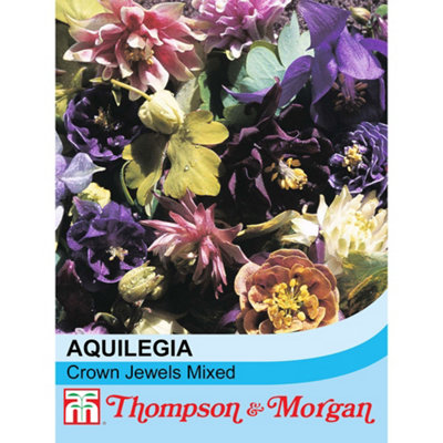 Thompson & Morgan Aquilegia Crown Jewels Mixed 1 Seed Packet Green/Gold/Bronze