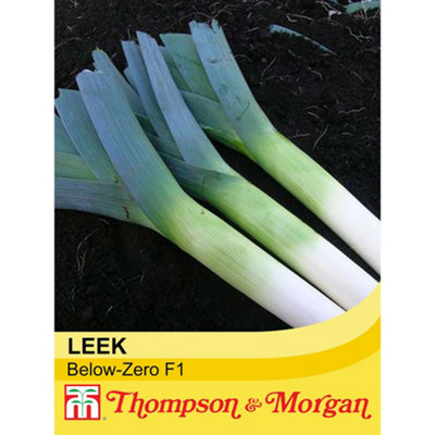 Thompson & Morgan Leek Below-Zero F1 Hybrid 1 Seed Packet (50 Seeds) from B&Q
