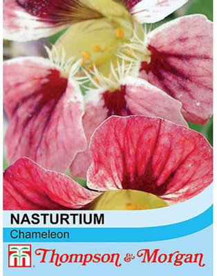 Thompson & Morgan Nasturtium Chameleon 1 Seed Packet (20 Seeds) from B&Q