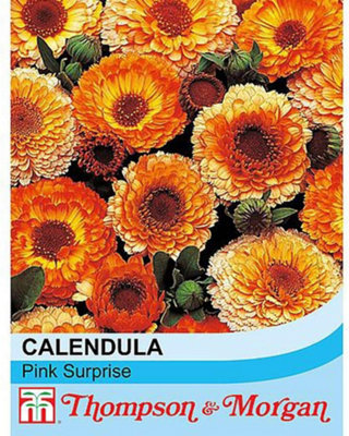 Thompson & Morgan Calendula Surprise 1 Seed Packet (100 Seeds) Pink