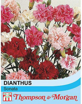 Thompson & Morgan Dianthus Plumarius Sonata 1 Seed Packet (30 Seeds) from B&Q