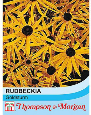 Thompson & Morgan Rudbeckia Goldsturm 1 Seed Packet (100 Seeds) from B&Q