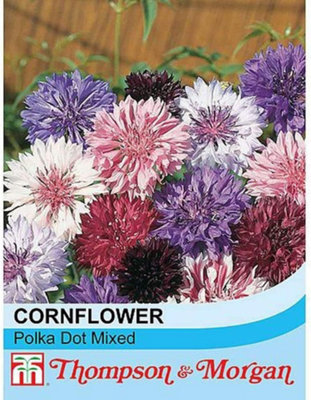 Thompson & Morgan Cornflower Polka Dot Mixed 1 Packet (500 Seeds) from B&Q
