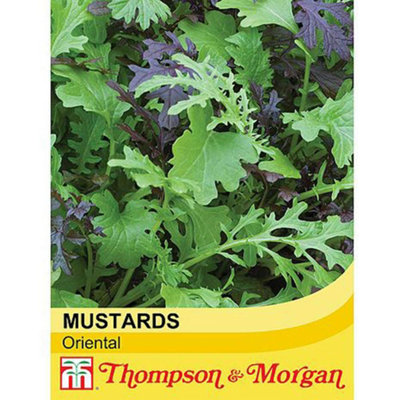Thompson & Morgan Salad Leaves Oriental Mustards 1 Seed Packet from B&Q