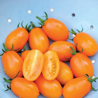 Thompson & Morgan Tomato Beauty F1 1 Seed Packet Orange