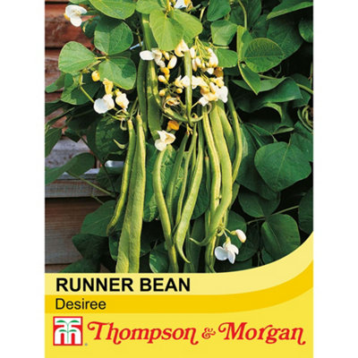 Thompson & Morgan Runner Bean Desiree Seeds - 35 Seeds - Green - Image 4
