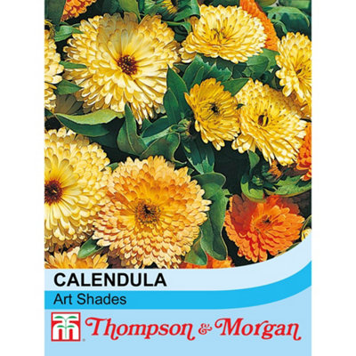 Thompson & Morgan Calendula Art Shades Mixed 1 Seed Packet (100 Seeds) from B&Q