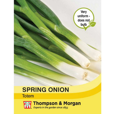 Thompson & Morgan Onion Fistulosum Totem 1 Seed Packet (400 Seeds)