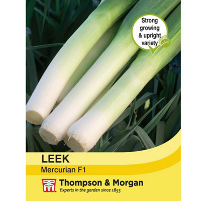 Thompson & Morgan Leek Mercurian 1 Seed Packet (75 Seeds) from B&Q