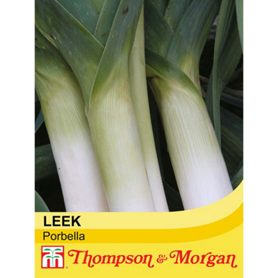 Leek Porbella 1 Seed Packet (50 Seeds)Thompson & Morgan from B&Q