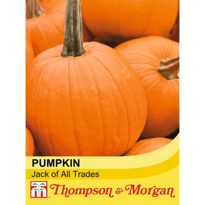 B&Q -  Pumpkin Jack Of All Trades F1 1 Seed Packet (10 Seeds)