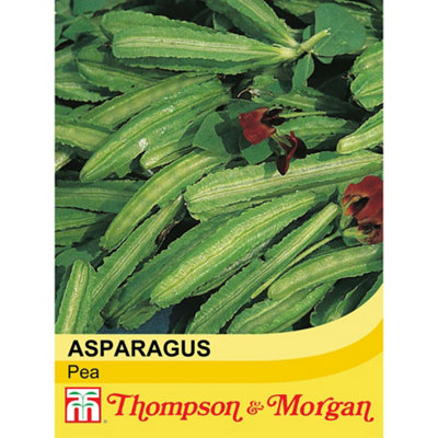 Thompson & Morgan Asparagus Pea 1 Seed Packet (35 Seeds) from B&Q