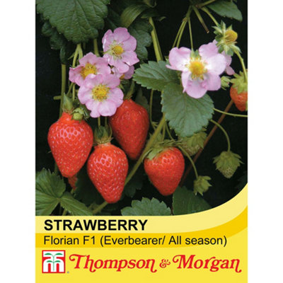 Thompson & Morgan Strawberry Florian F1 Hybrid 1 Seed Packet (10 Seeds)