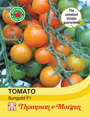 Thompson & Morgan Tomato Sungold F1 Hybrid 1 Seed Packet (8 Seeds) from B&Q