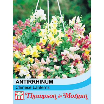 Thompson & Morgan Antirrhinum Chinese Lanterns F1 Hybrid 1 Packet (200 Seeds) from B&Q