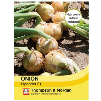 B&Q -  Onion Hylander 1 Seed Packet (125 Seeds)