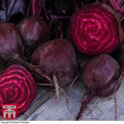 Thompson & Morgan Beet Morello 1 Seed Packet (150 Seeds) from B&Q
