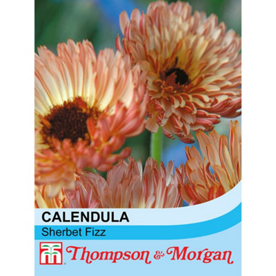 Thompson & Morgan Calendula Officinalis Sherbet Fizz 1 Seed Packet (80 Seeds) from B&Q