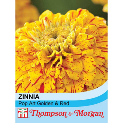 B&Q -  Zinnia Pop Art Golden & Red 1 Packet (40 Seeds)