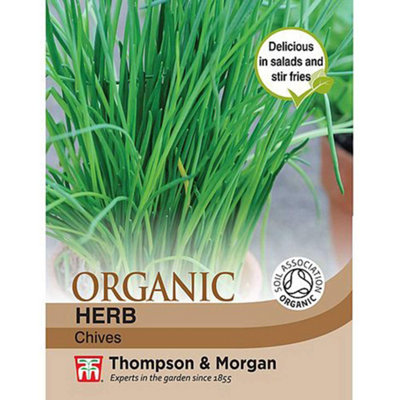 Thompson & Morgan Organic Herb Chives 1 Seed Packet 250 Seeds from B&Q
