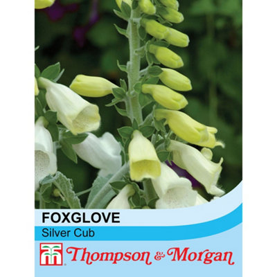 Thompson & Morgan Foxglove Cub 1 Seed Packet (75 Seeds) from B&Q