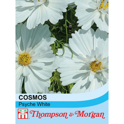 B&Q -  Cosmos Psyche White 1 Seed Packet (72 Seeds)