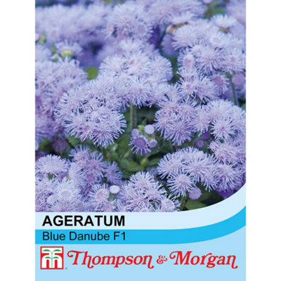 B&Q -  Ageratum Blue Danube F1 Hybrid 1 Seed Packet (100 Seeds)