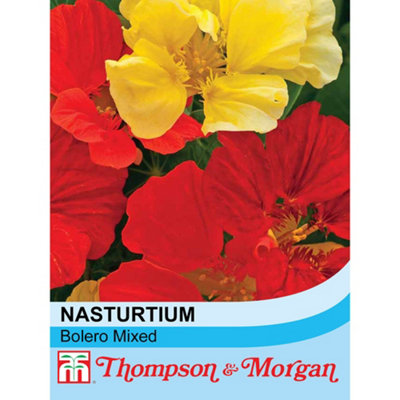 Thompson & Morgan Nasturtium Bolero Mixed 1 Packet (30 Seeds) from B&Q