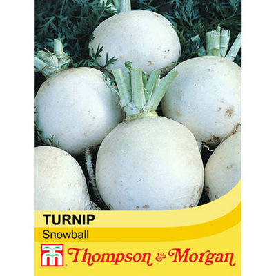 Thompson & Morgan Turnip Snowball 1 Seed Packet (1000 Seeds) from B&Q