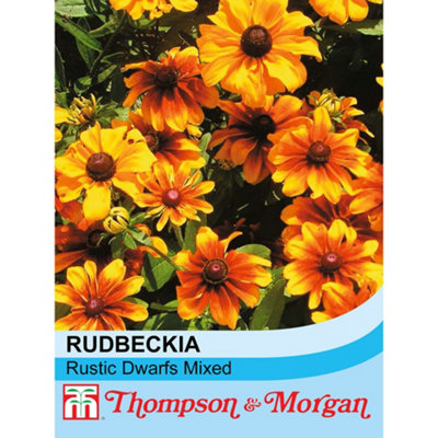 Thompson & Morgan Rudbeckia Hirta Rustic Dwarfs Mixed 1 Seed Packet (350 Seeds) from B&Q