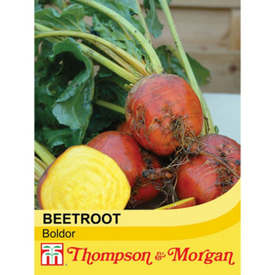 Thompson & Morgan Beetroot Boldor 1 Seed Packet (250 Seeds) from B&Q
