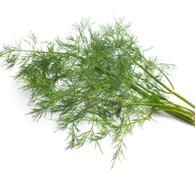 B&Q -  Herb Dill Bouquet 1 Seed Packet