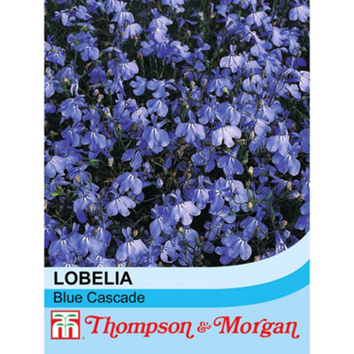 B&Q -  Lobelia Blue Cascade 1 Packet (1000 Seeds)