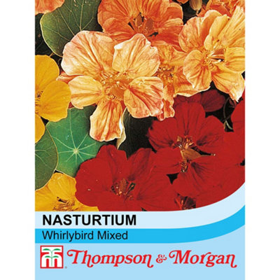 Thompson & Morgan Nasturtium Whirlybird Mixed 1 Packet (25 Seeds) from B&Q
