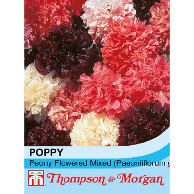 Thompson & Morgan Poppy Peony Flowered Mixed 1 Packet (1500 Seeds) from B&Q