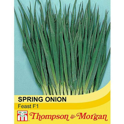 Thompson & Morgan Spring Onion Feast 1 Seed Packet from B&Q