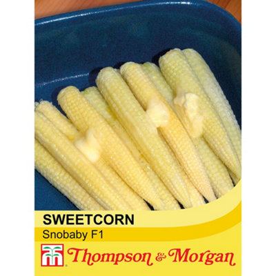 Thompson & Morgan Sweetcorn Snobaby 1 Seed Packet (25 Seeds) from B&Q