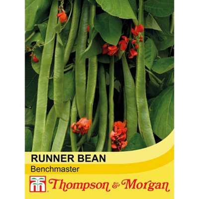 Thompson & Morgan Runner Bean Benchmaster 1 Seed Packet Red
