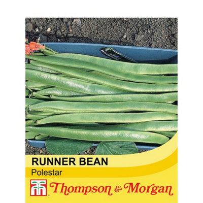 Thompson & Morgan Runner Bean Polestar 1 Seed Packet (40 Seeds) from B&Q