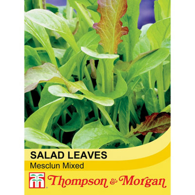 Thompson & Morgan Salad Leaves Mesclum Mixed 1 Seed Packet (500 Seeds) from B&Q