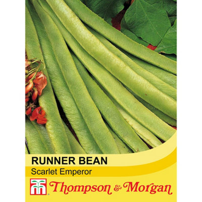Thompson & Morgan Runner Bean Scarlet Emperor 1 Seed Packet (40 Seeds) from B&Q