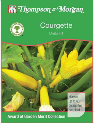 Thompson & Morgan Courgette Orelia F1 1 Seed Packet (6 Seeds) from B&Q