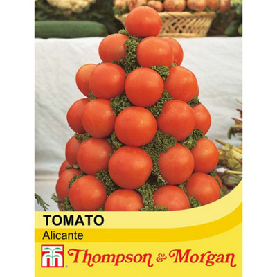 Thompson & Morgan Tomato Alicante 1 Seed Packet (75 Seeds) from B&Q