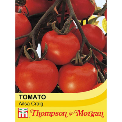 Thompson & Morgan Tomato Ailsa Craig 1 Seed Packet (94 Seeds) from B&Q