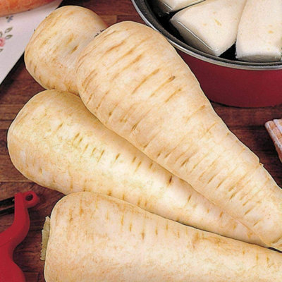 B&Q -  Parsnip White Gem 1 Seed Packet