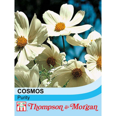 Thompson & Morgan Cosmos Purity 1 Seed Packet (100 Seeds) from B&Q