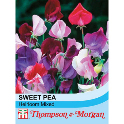 Thompson & Morgan Sweet Pea Heirloom Mixed 1 Seed Packet (20 Seeds) from B&Q
