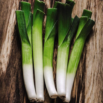 Thompson & Morgan Organic Leek Carentan 2 1 Seed Packet from B&Q