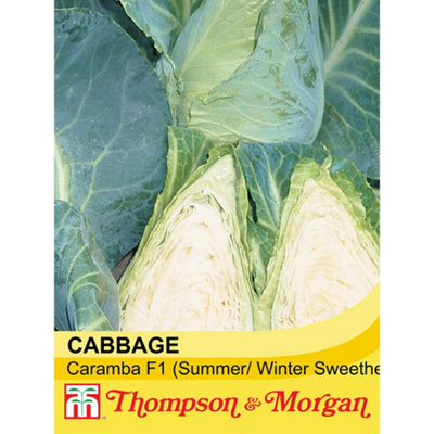 Thompson & Morgan Cabbage Caramba F1 Hybrid 1 Seed Packet (30 Seeds) from B&Q